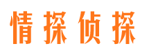 兰西捉小三公司